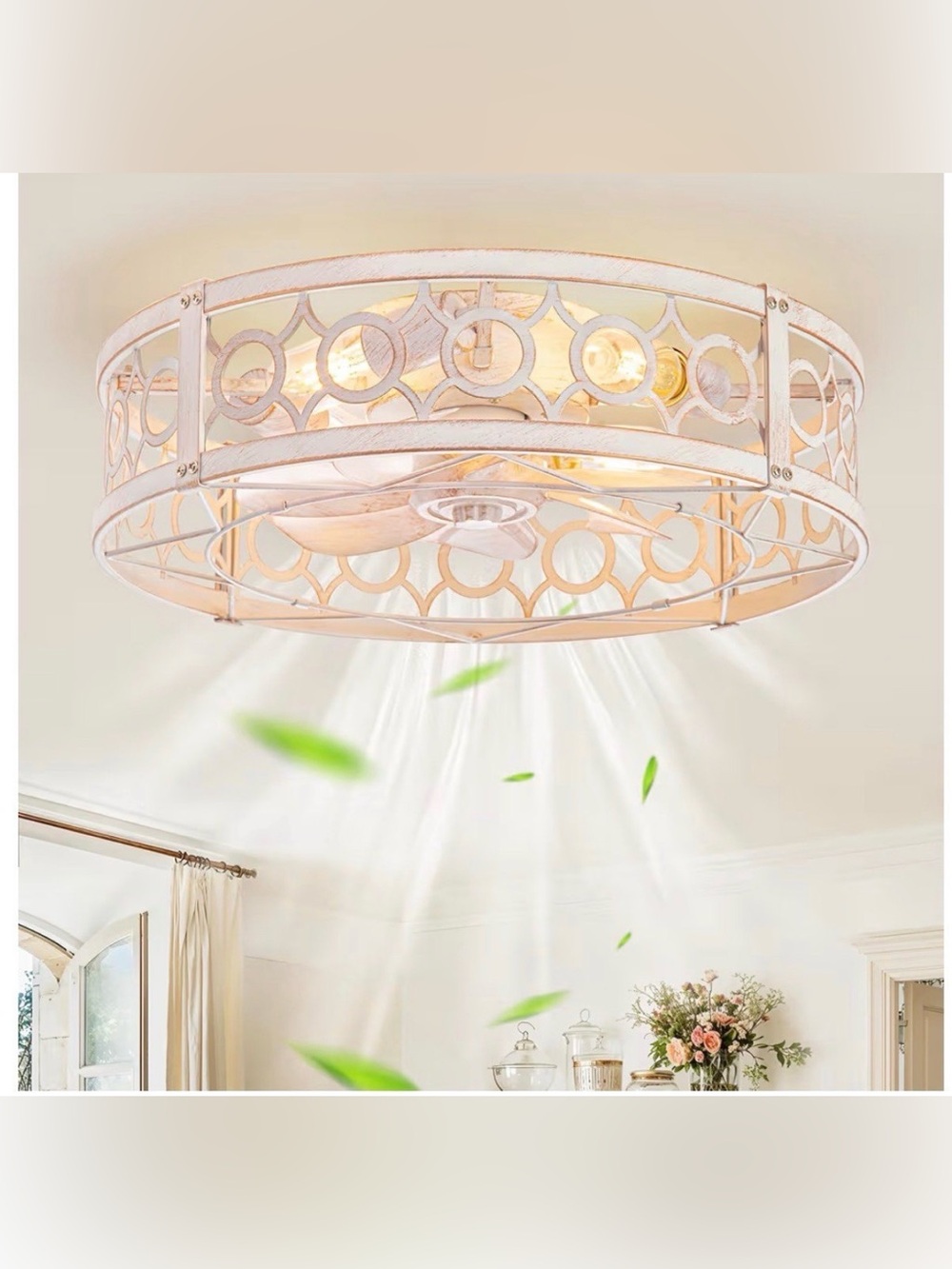 LEDIARY Caged Ceiling Fan with Light and Remote